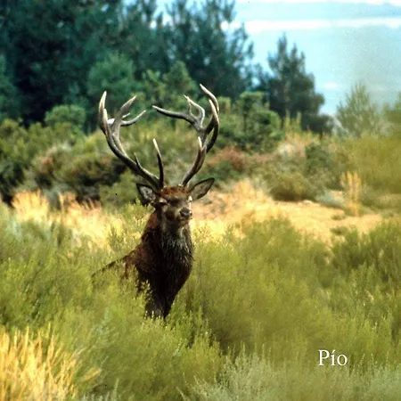 Rosita Santa Cruz de los Cuérragos