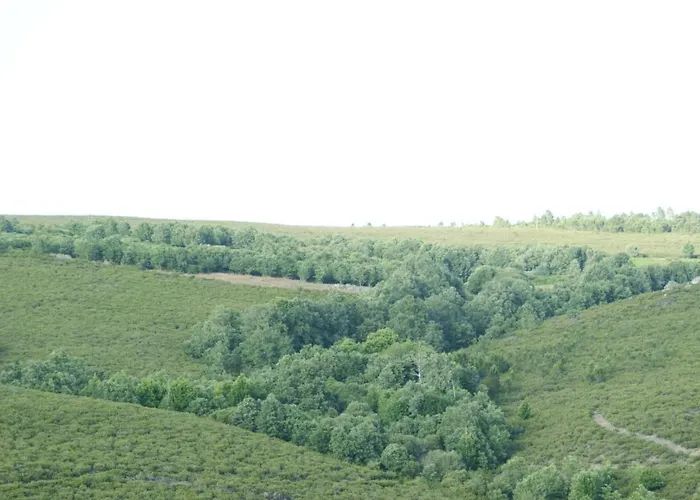 カントリーハウス Rosita *