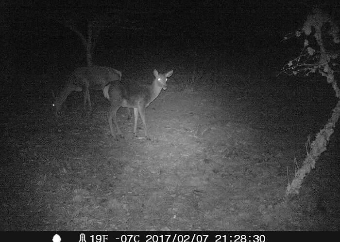 カントリーハウス Rosita *